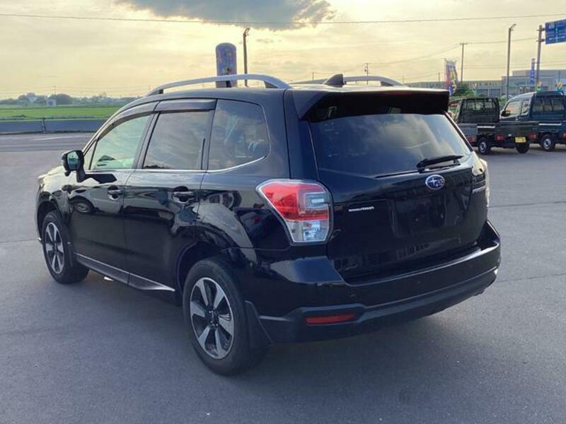 FORESTER