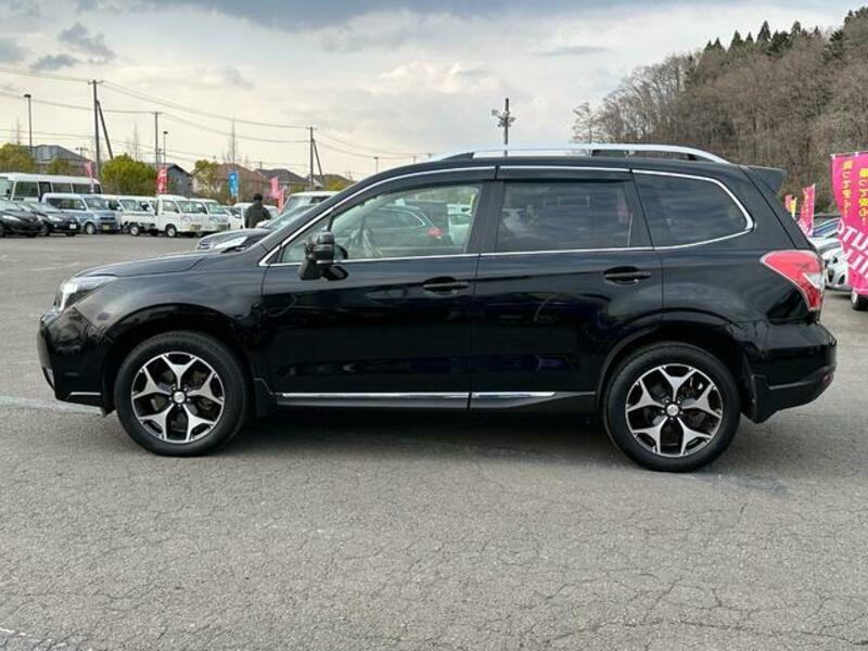 FORESTER