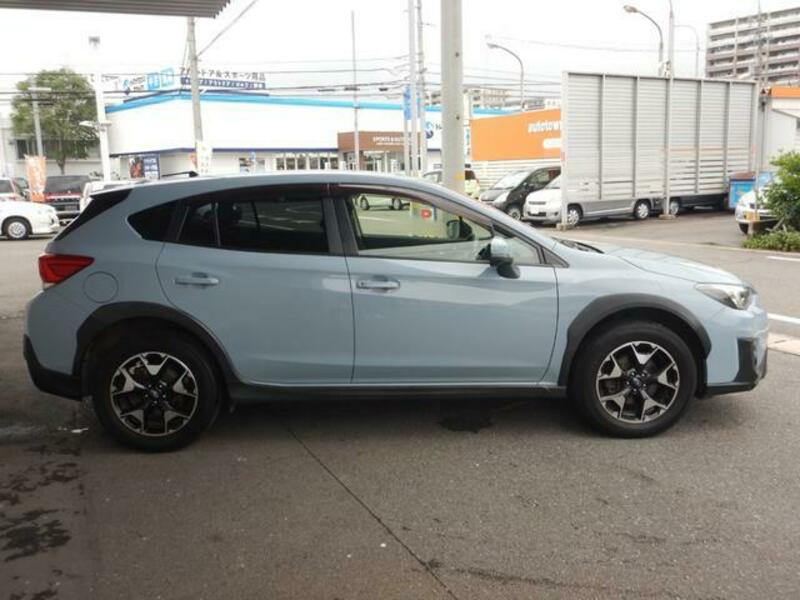 XV
