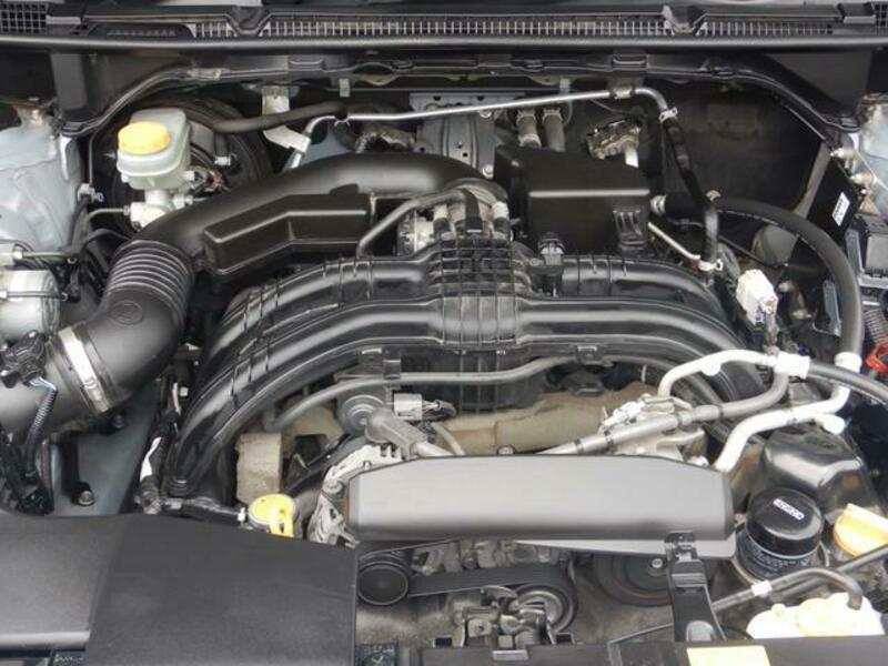 XV