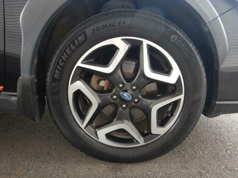 XV