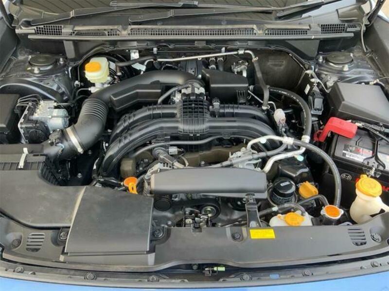 XV