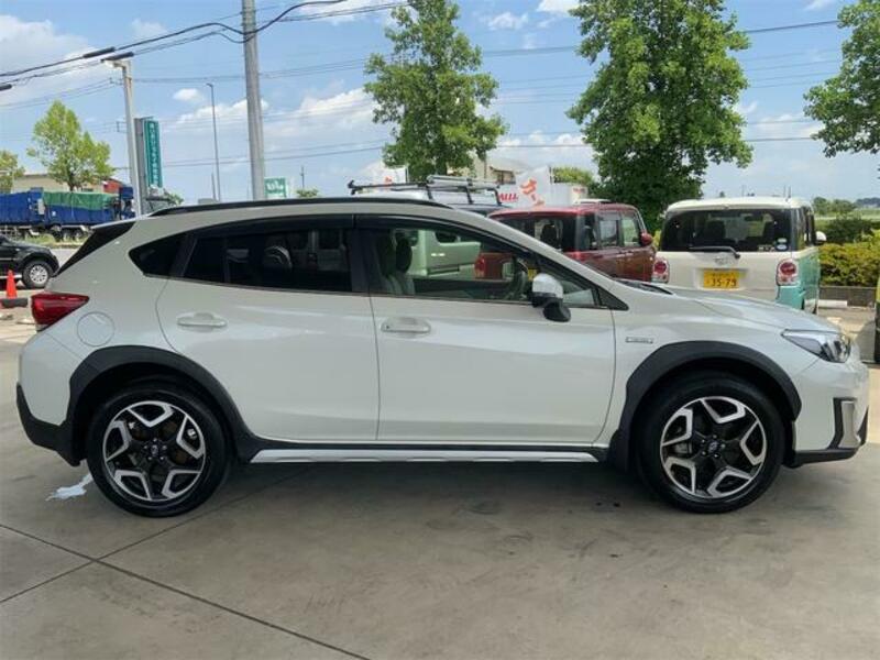 XV