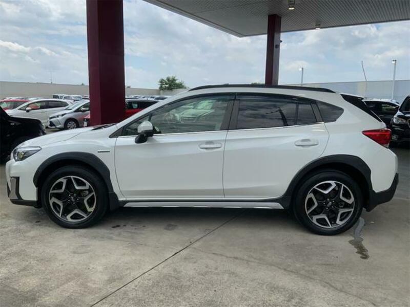 XV