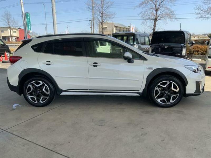 XV