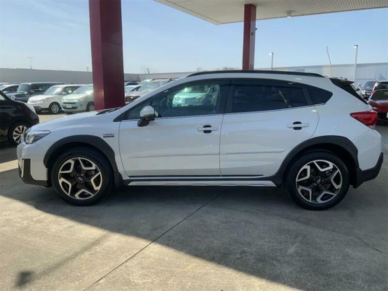 XV