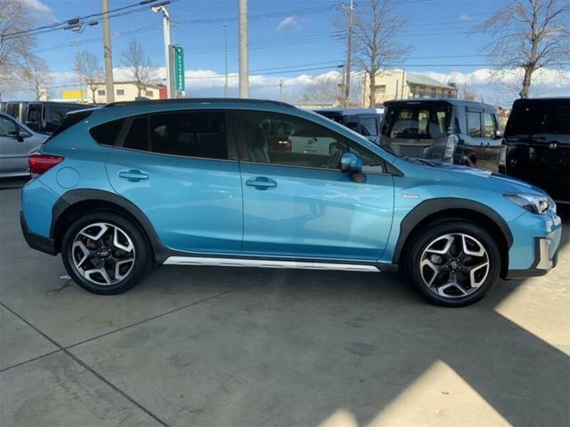 XV