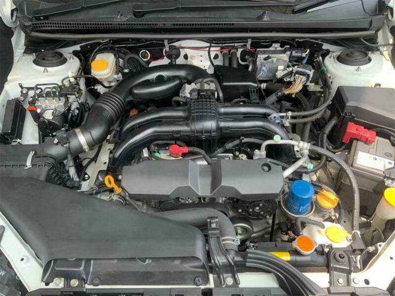 XV