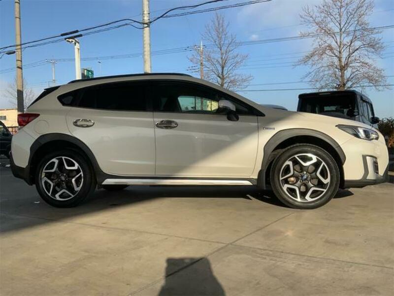 XV