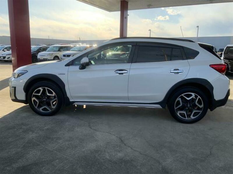 XV