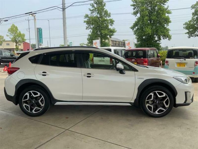XV