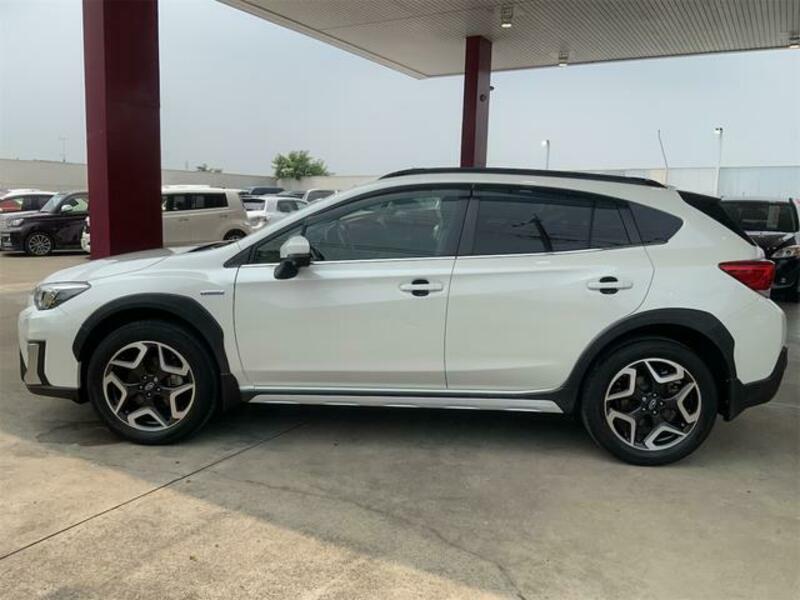 XV