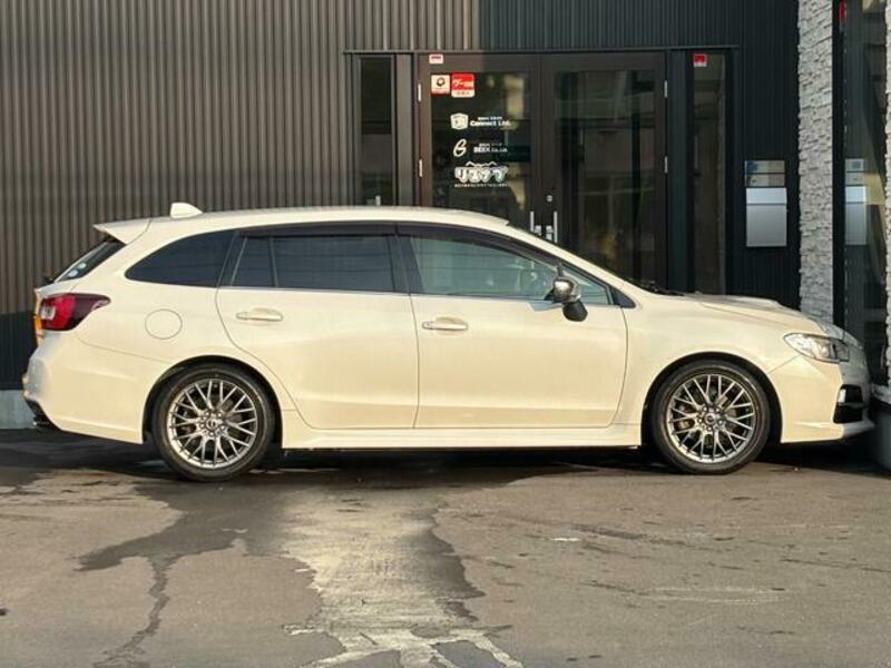 LEVORG
