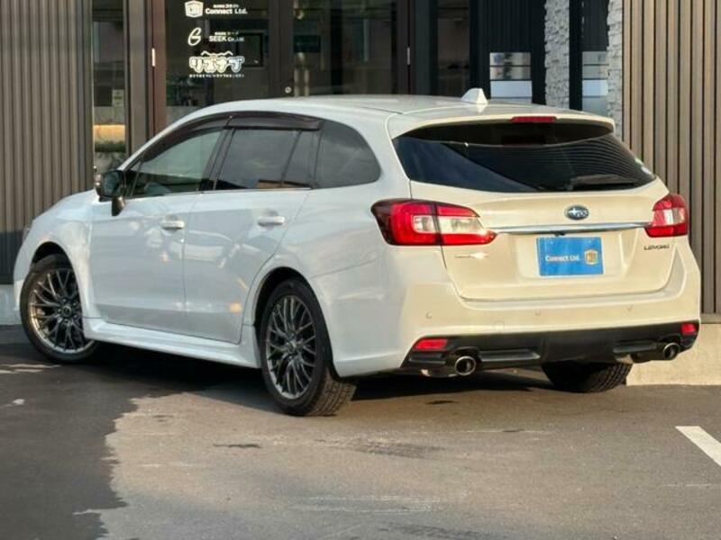 LEVORG