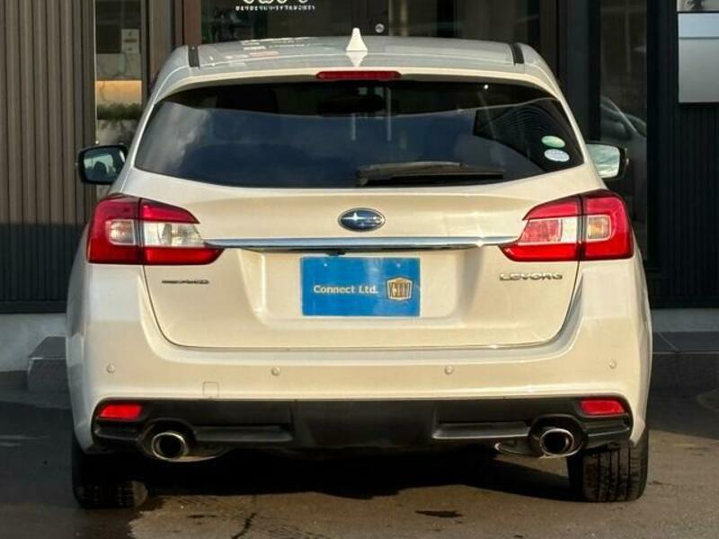 LEVORG