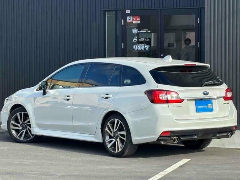 LEVORG
