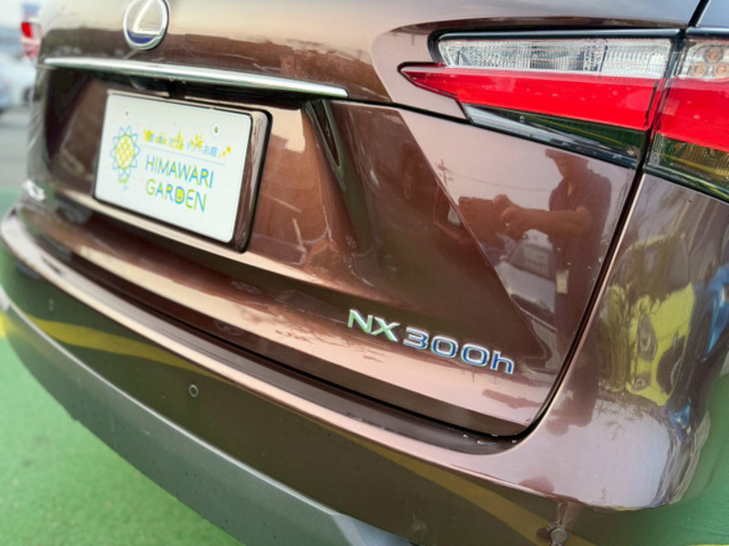 NX