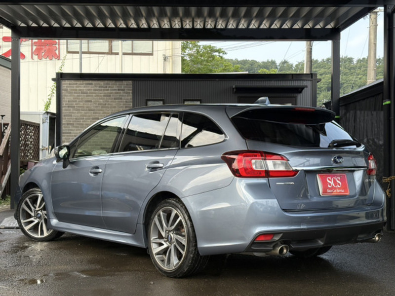 LEVORG