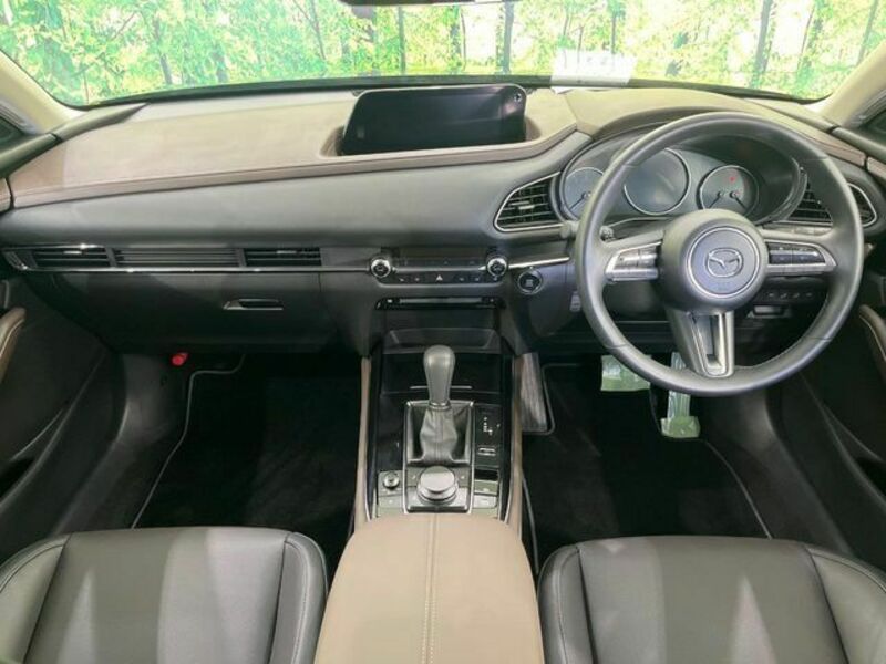 CX-30