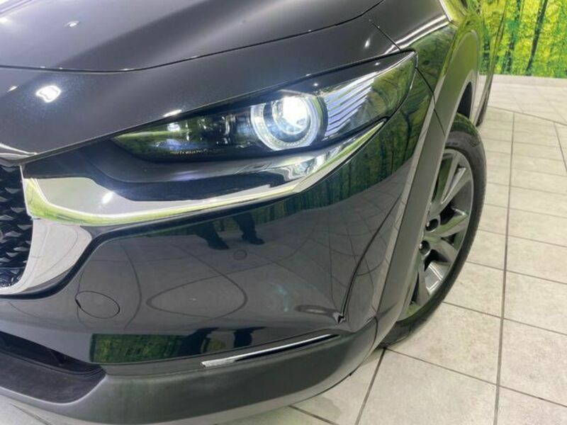CX-30