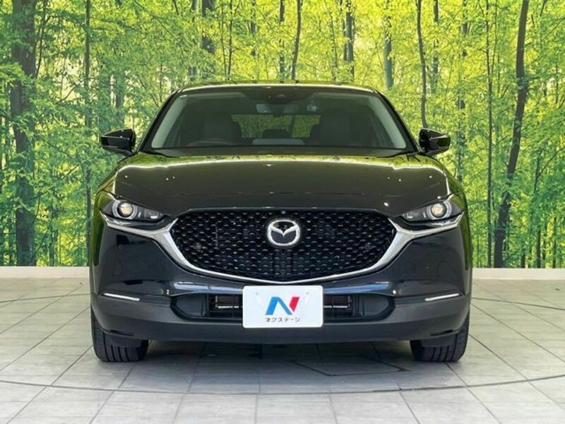 CX-30