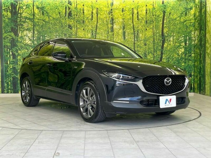 CX-30