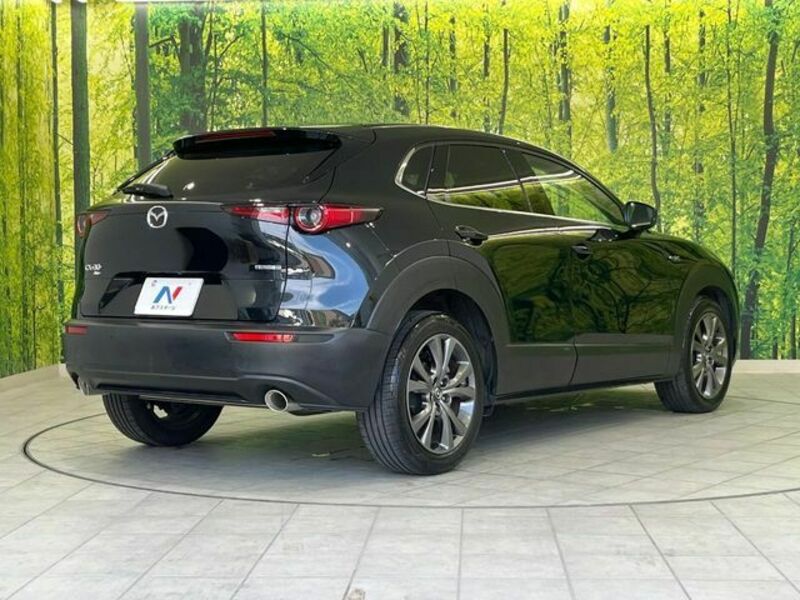 CX-30