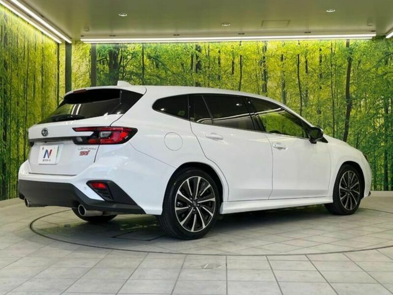 LEVORG