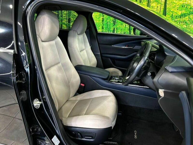 CX-30