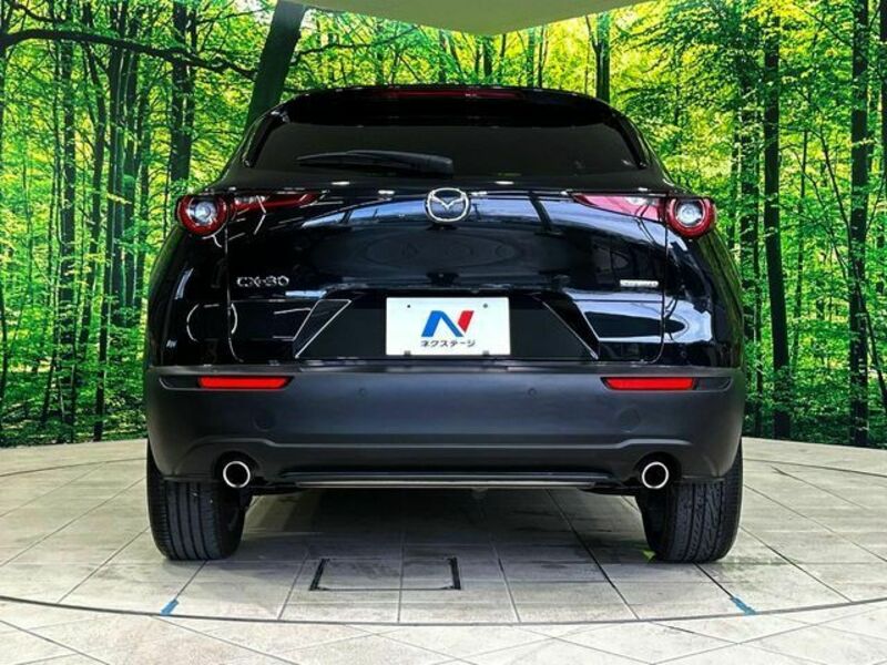 CX-30