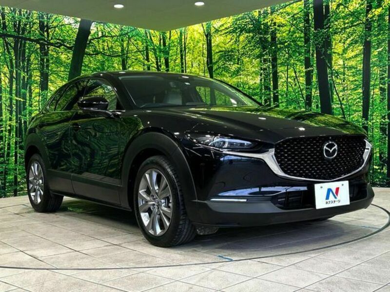 CX-30