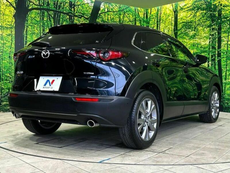 CX-30