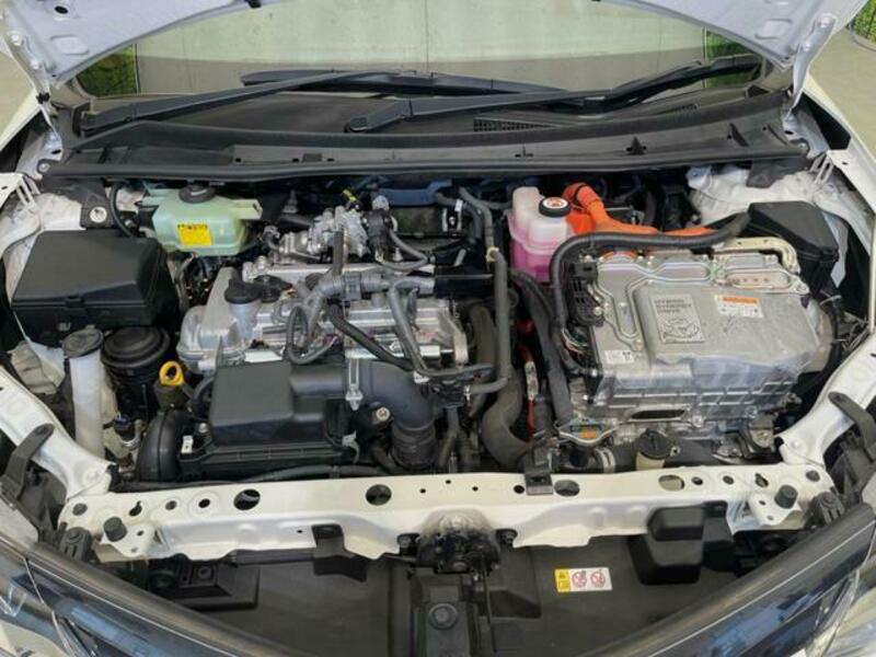 COROLLA FIELDER