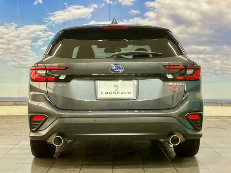 LEVORG