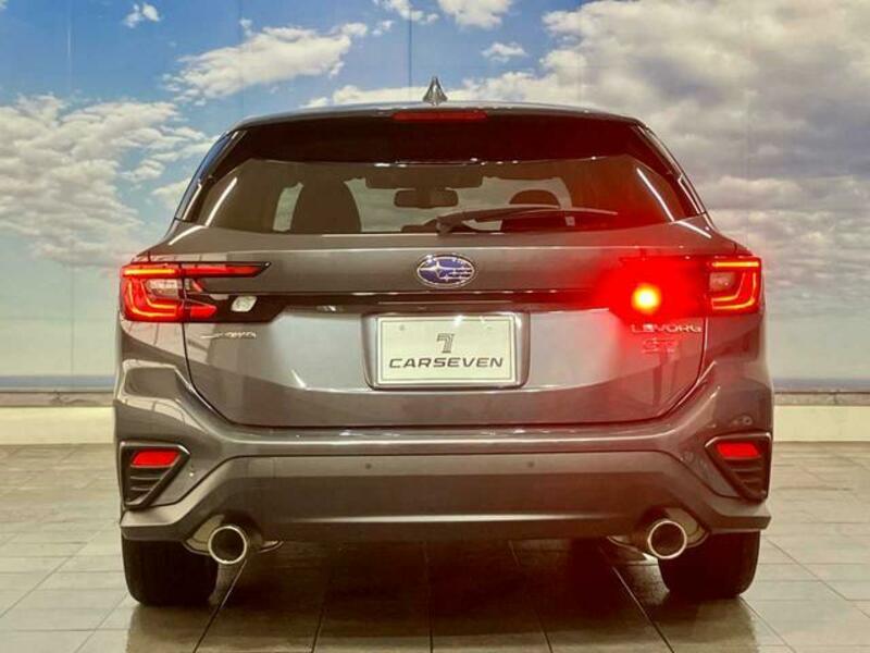LEVORG