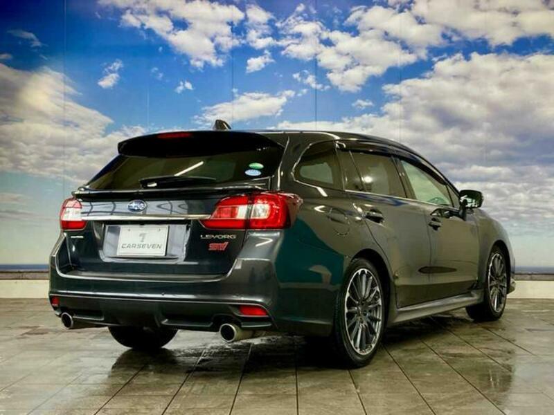 LEVORG