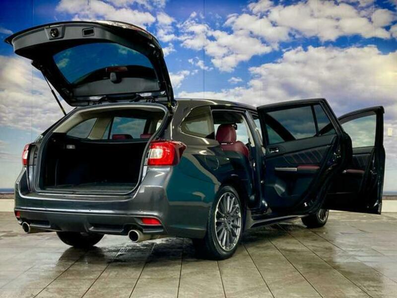 LEVORG