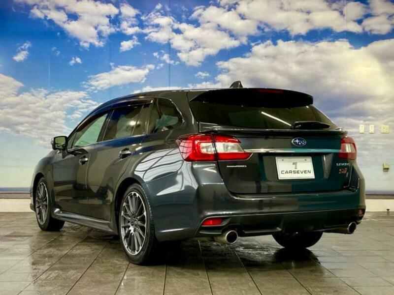 LEVORG