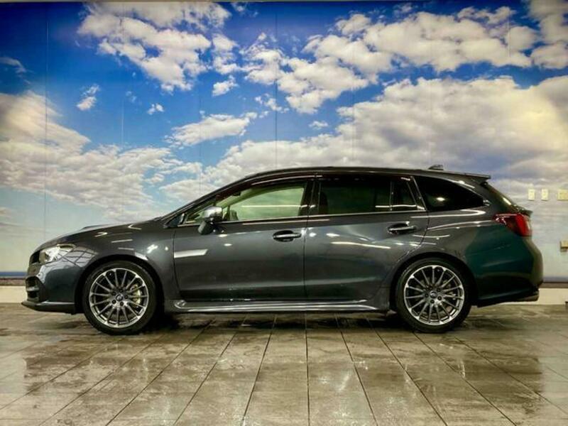 LEVORG