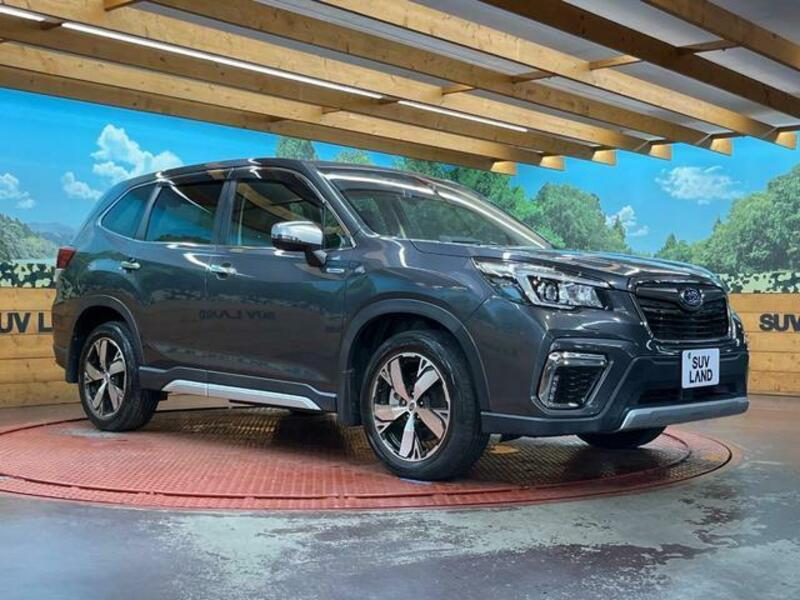 FORESTER