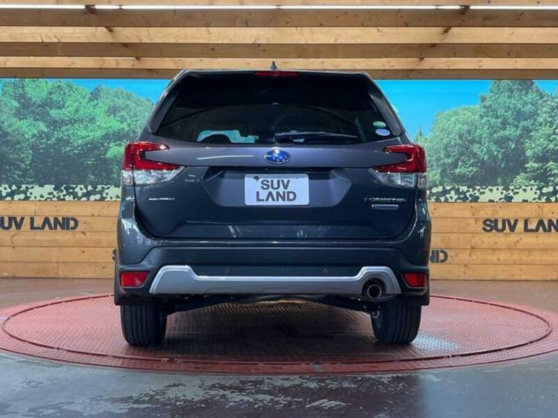 FORESTER