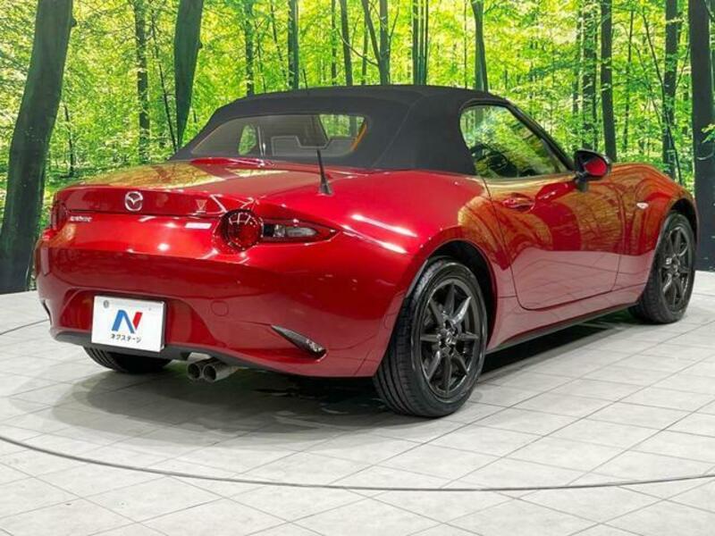 ROADSTER