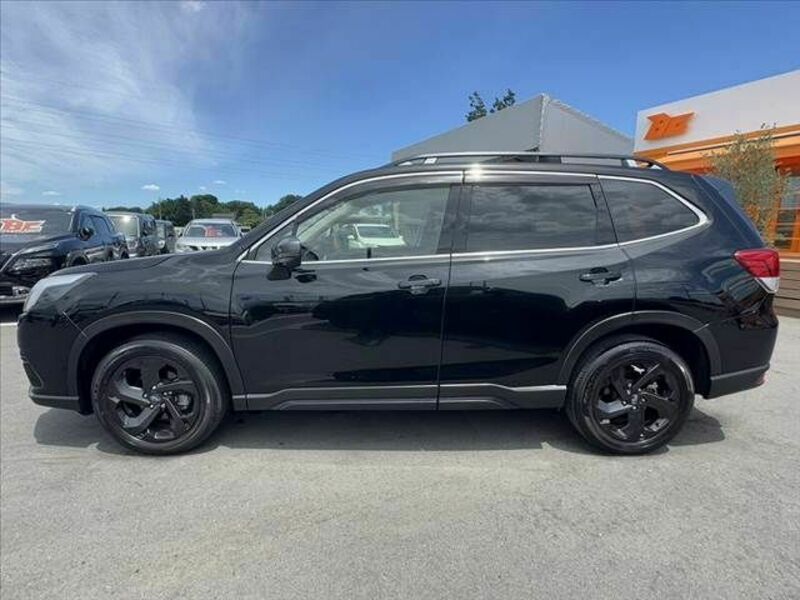 FORESTER