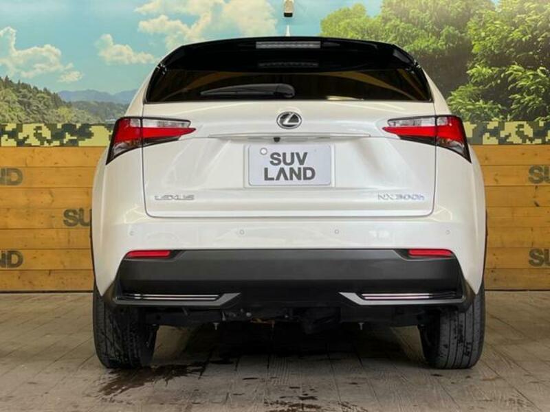 NX