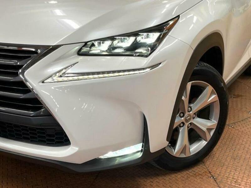NX