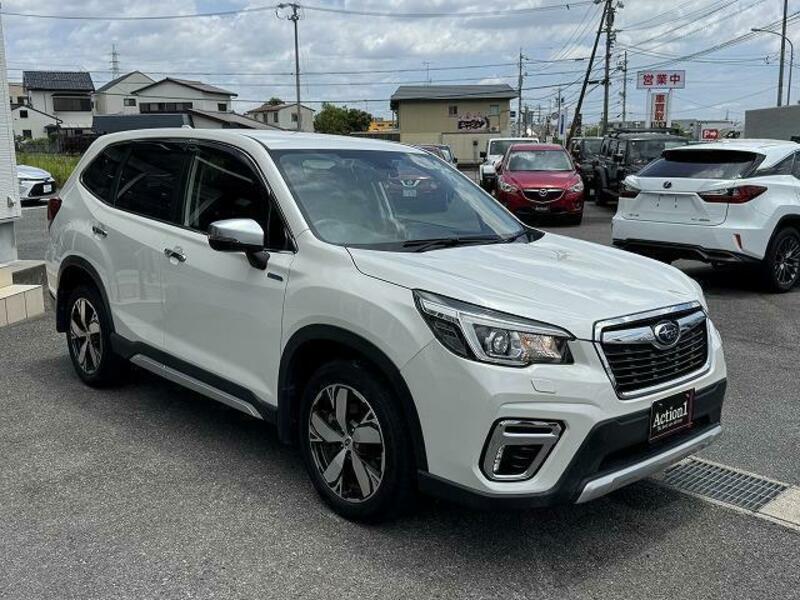 FORESTER