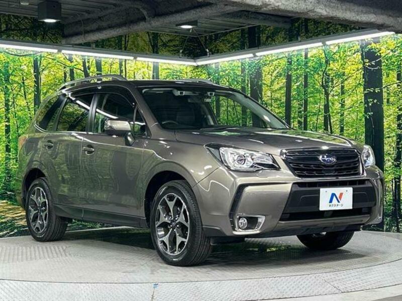 FORESTER