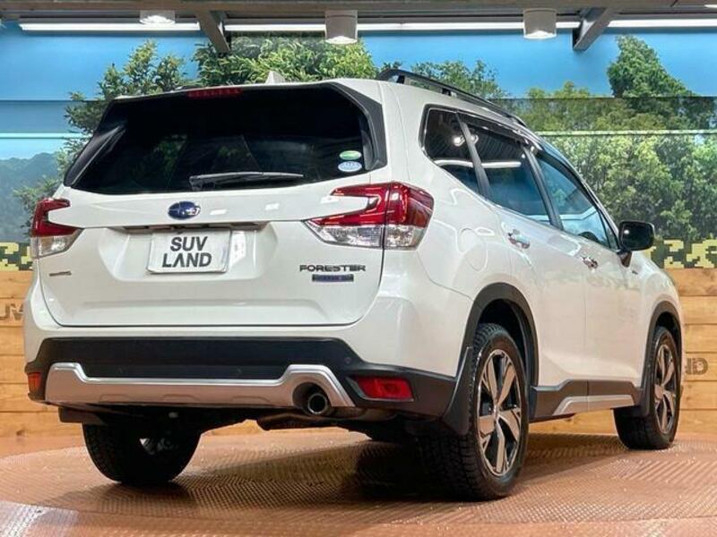 FORESTER