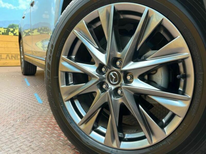 CX-8