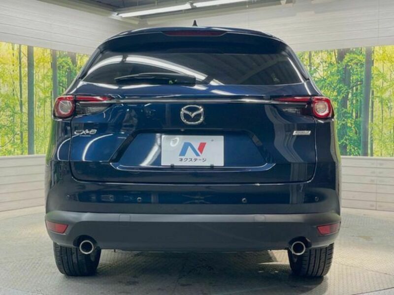 CX-8